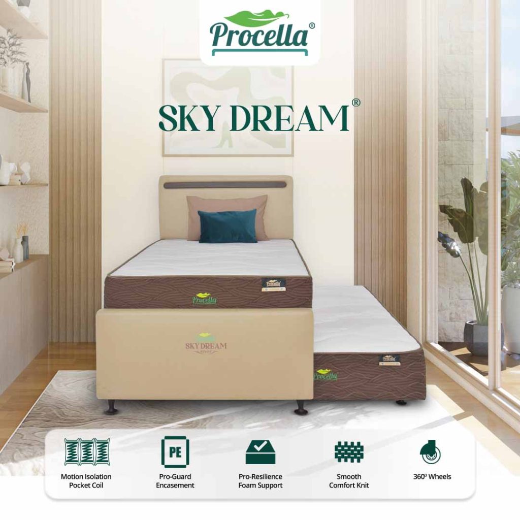 Sky Dream